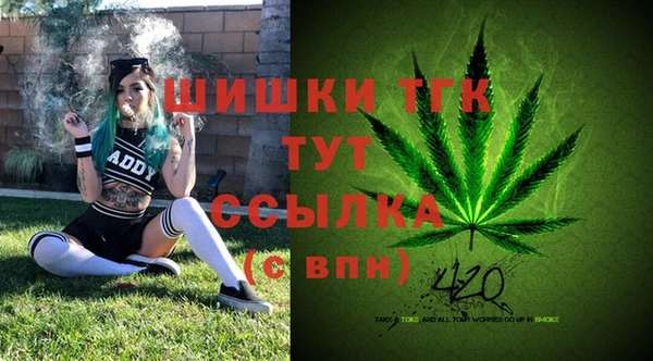 ГАЛЛЮЦИНОГЕННЫЕ ГРИБЫ Краснослободск