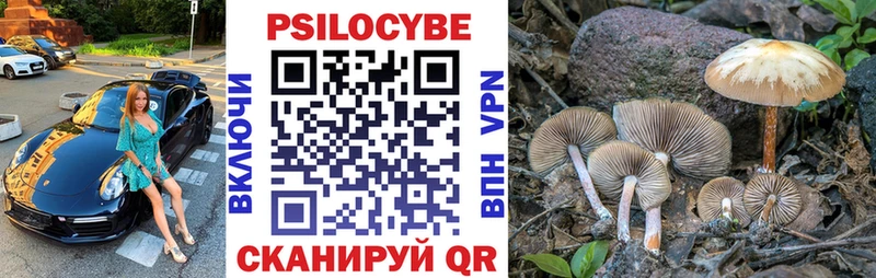 Псилоцибиновые грибы Cubensis Спас-Клепики