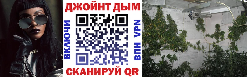 Купить закладки  Спас-Клепики  Каннабис MAZAR 